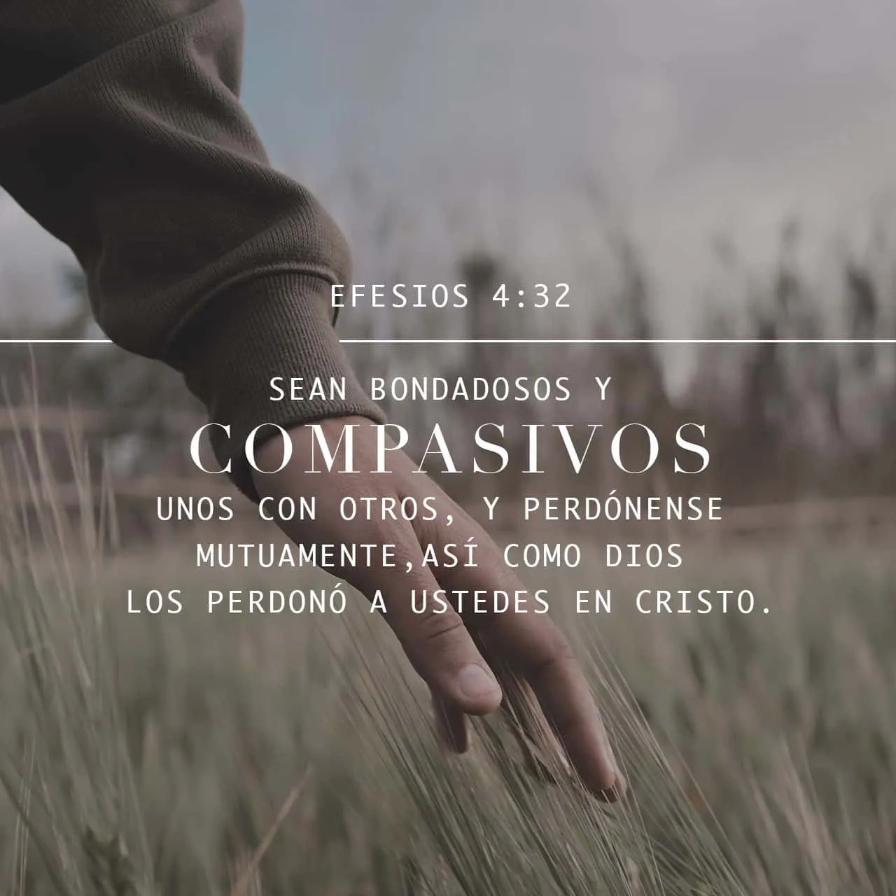 Efesios-4-32