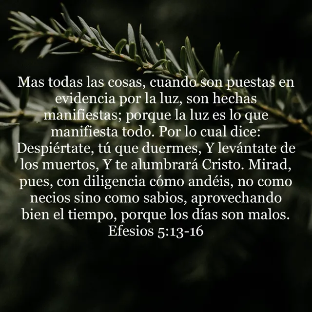 Efesios-5-13-16