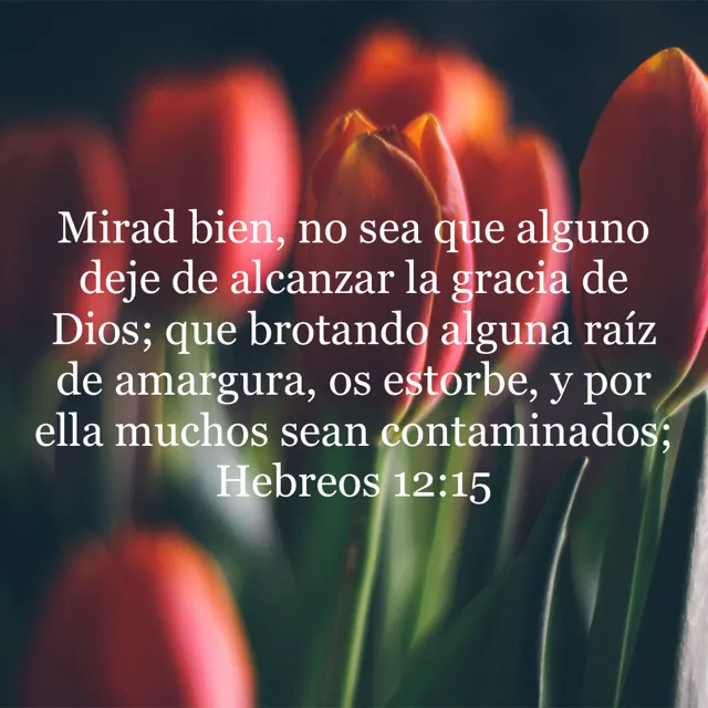 Hebreos-12-15