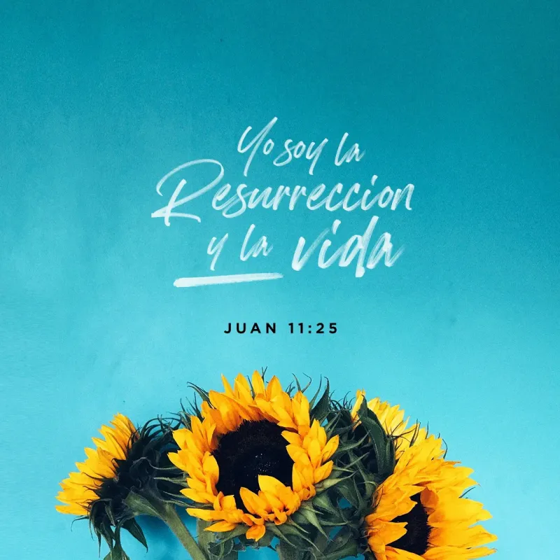 Juan-11-25