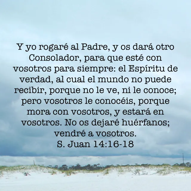 Juan-14-16-18