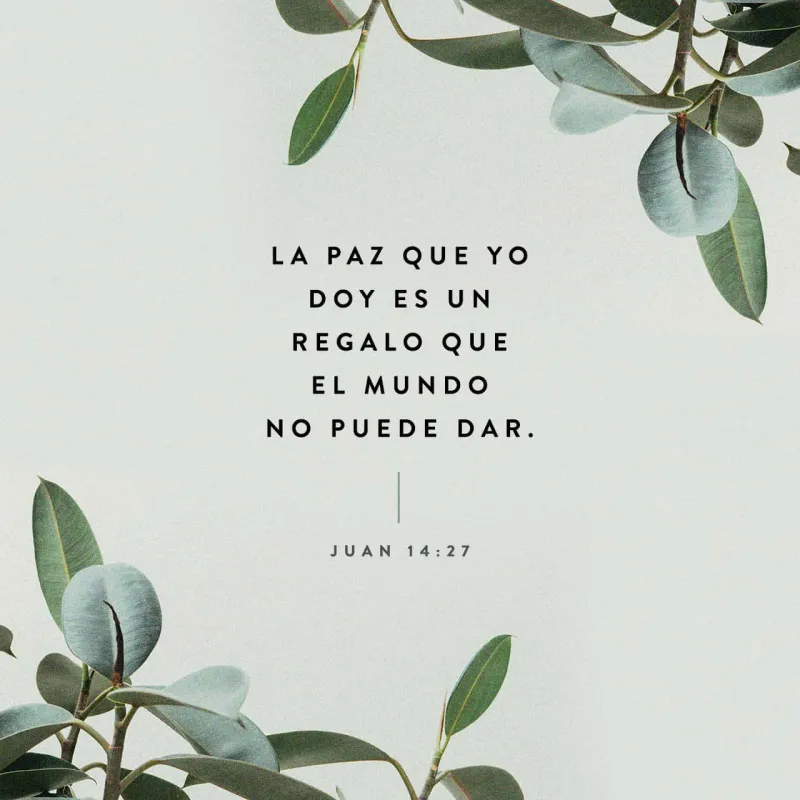 Juan-14-27