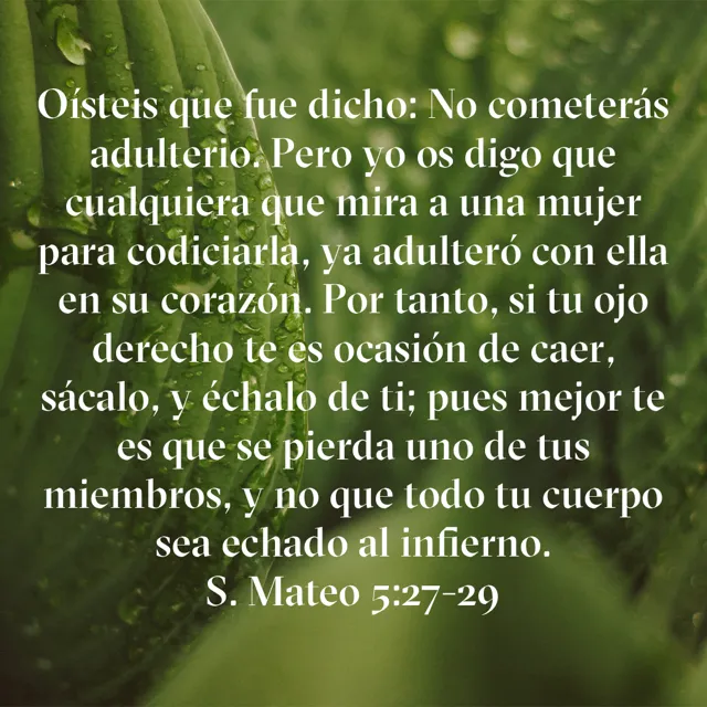 Mateo-5-27-29