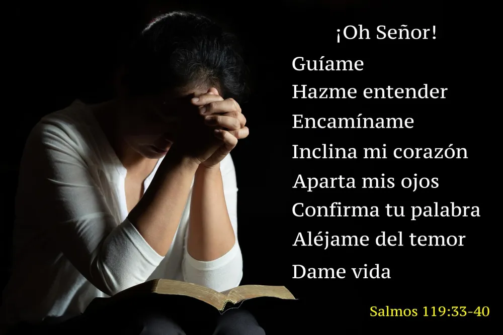 Salmo-119