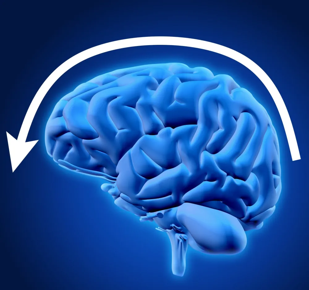 cerebro