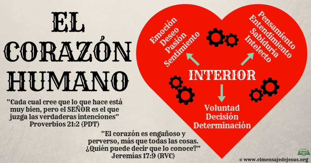 El corazón humano