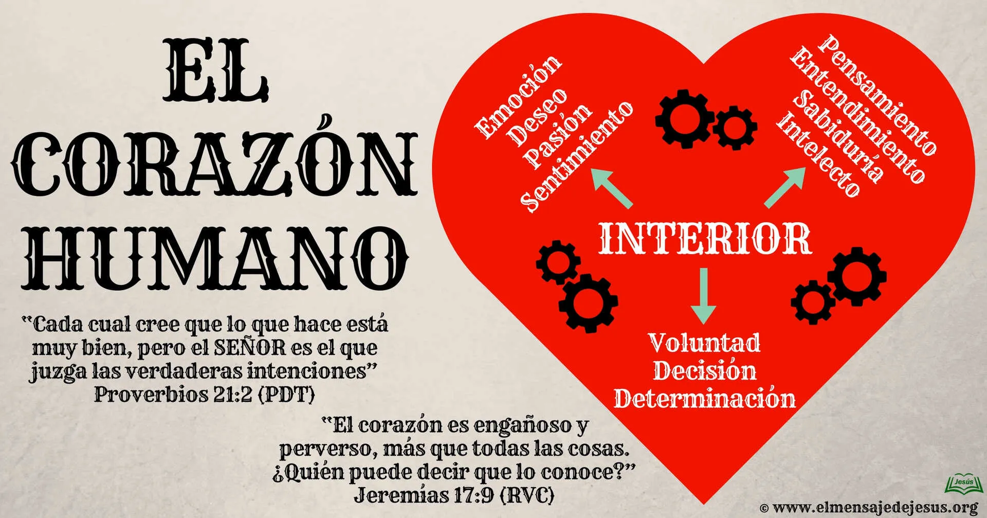 El_corazon_Humano